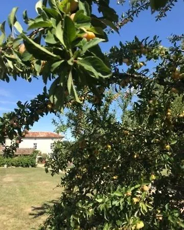 The Mad Hatters Kitchen * Caunay