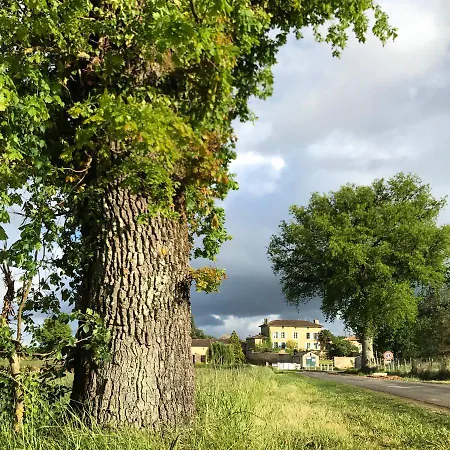 Casa de Campo The Mad Hatters Kitchen *