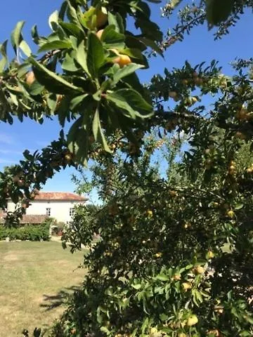 The Mad Hatters Kitchen * Caunay