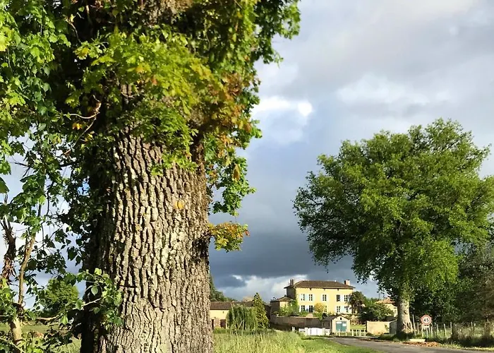 Casa de Campo The Mad Hatters Kitchen *